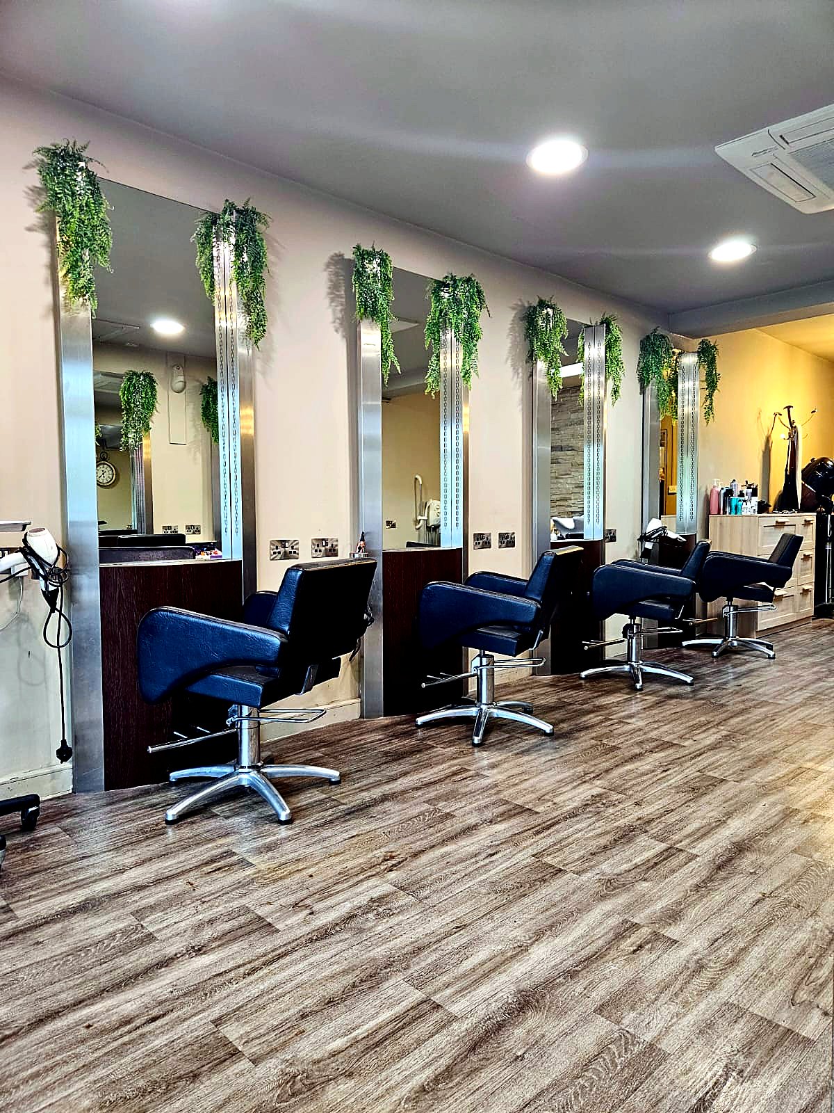 Honey Browns Hair Salon styling stations with mirrors and hanging plants, Ballincollig